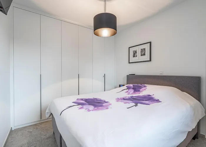 Luxury In The Centre Of With Terrace Ostend